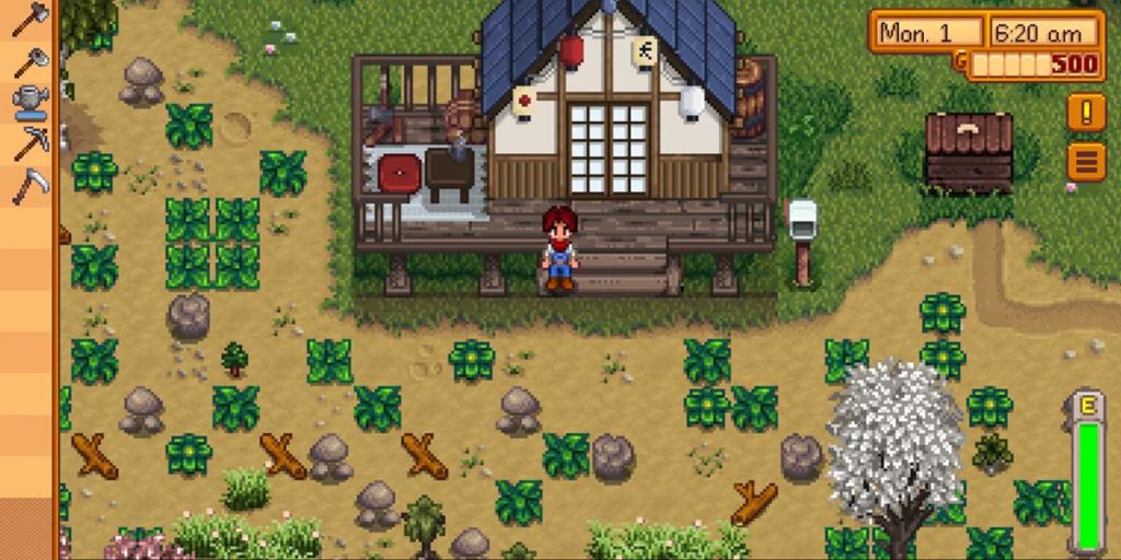 Stardew Valley