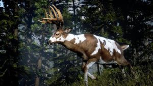 Legendary Buck