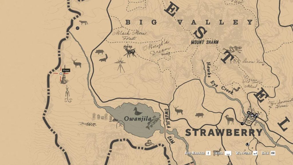 گنج Red Dead Redemption 2